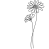 Kopretina
