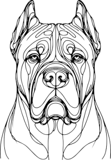 Cane Corso