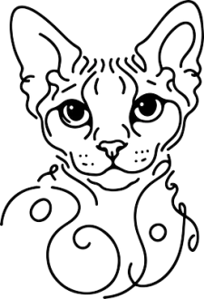 Devon Rex