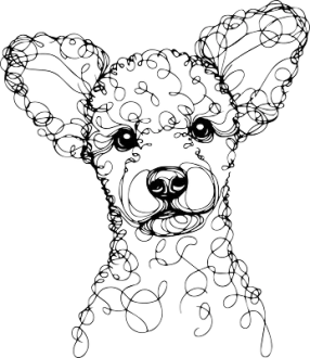 Pumi