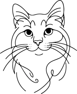 Snowshoe 2