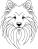 Finský špic