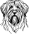 Briard