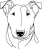Bulteriér