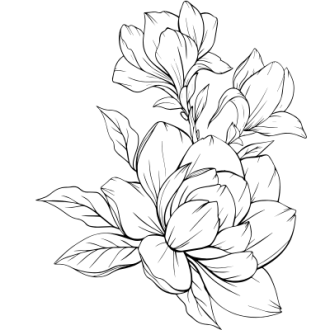 Magnolie