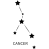 Rak