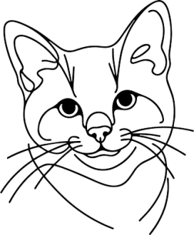 Chausie kočka
