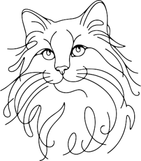 Ragdoll