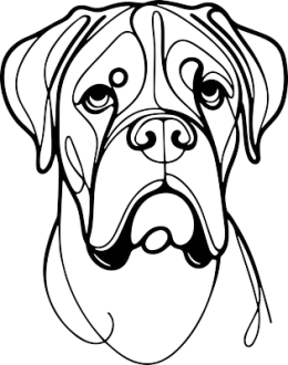 Boxer