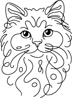 Selkirk Rex