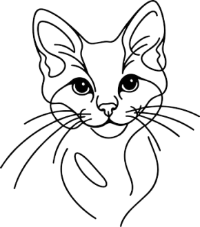 Chausie kočka 2