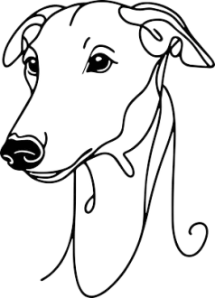 Greyhound