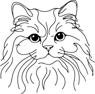 Selkirk Rex 2