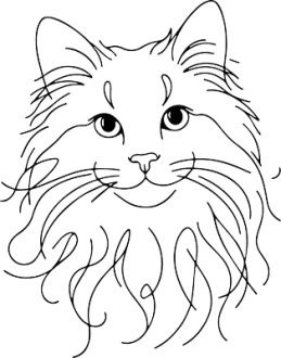 Turecká angora