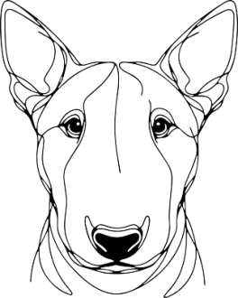 Bulteriér 2