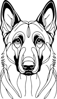 Belgický ovčák malinois