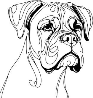Boxer 2