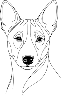Basenji