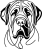 Bullmastif 2