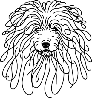 Puli