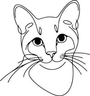 Ocicat 2