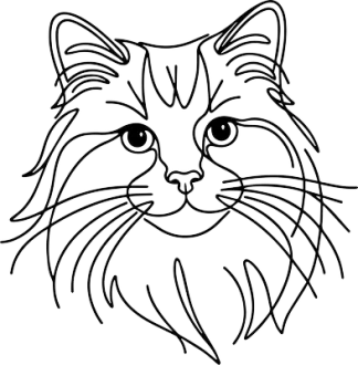 Am. bobtail