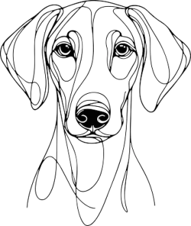 Anglický foxhound