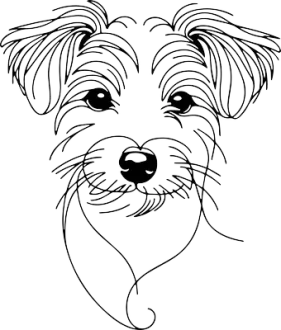 Toy Fox teriér