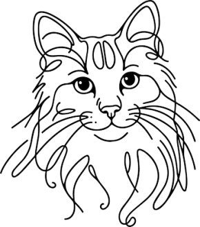Am. bobtail 2