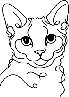 Devon Rex 2