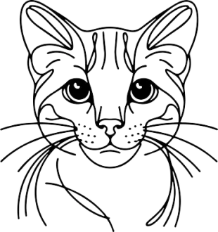Toyger 2
