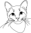 Ocicat 2
