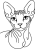 Sphynx