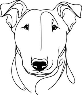Bulteriér
