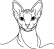 Sphynx 2