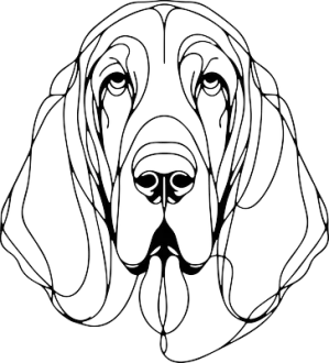 Bloodhound