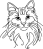 Am. bobtail 2