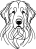 Komondor