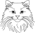 Turecká angora 2