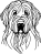 Briard 2