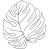 Monstera