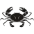 Rak