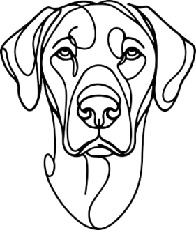 Rhodéský ridgeback