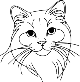 Burmilla