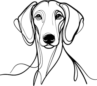 americký foxhound