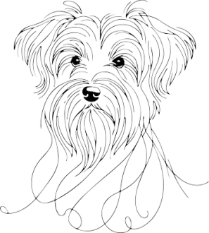 Dandie dinmont teriér