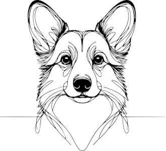 Welsh Corgi Cardigan