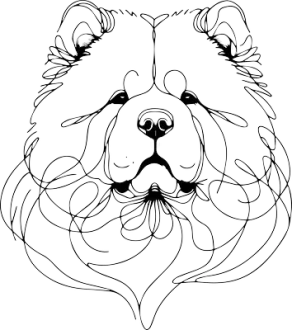 Čau Čau