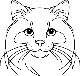 Snowshoe