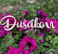 Jmenovka dřevěná, personalizovaná